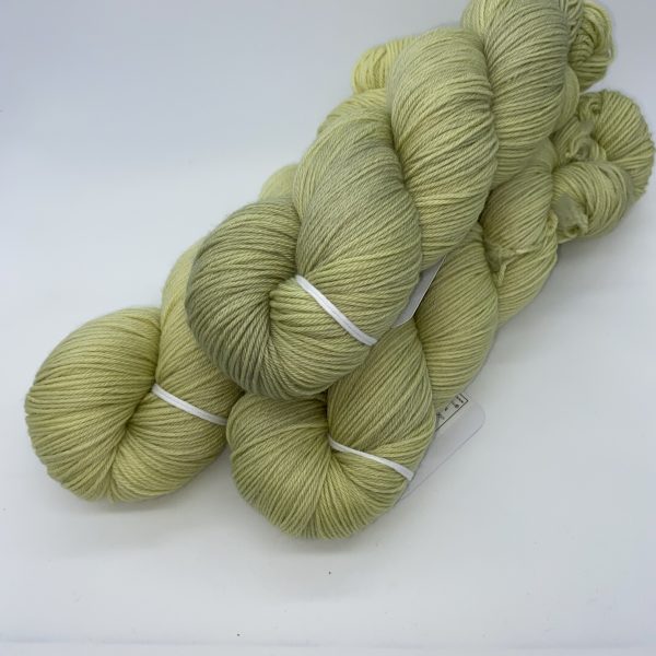 Merino 01
